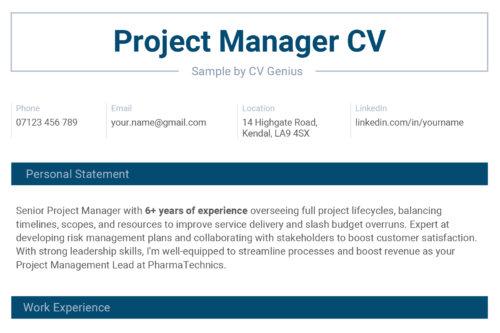 A project manager CV example