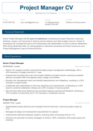 Project Manager CV Examples Free Template Tips