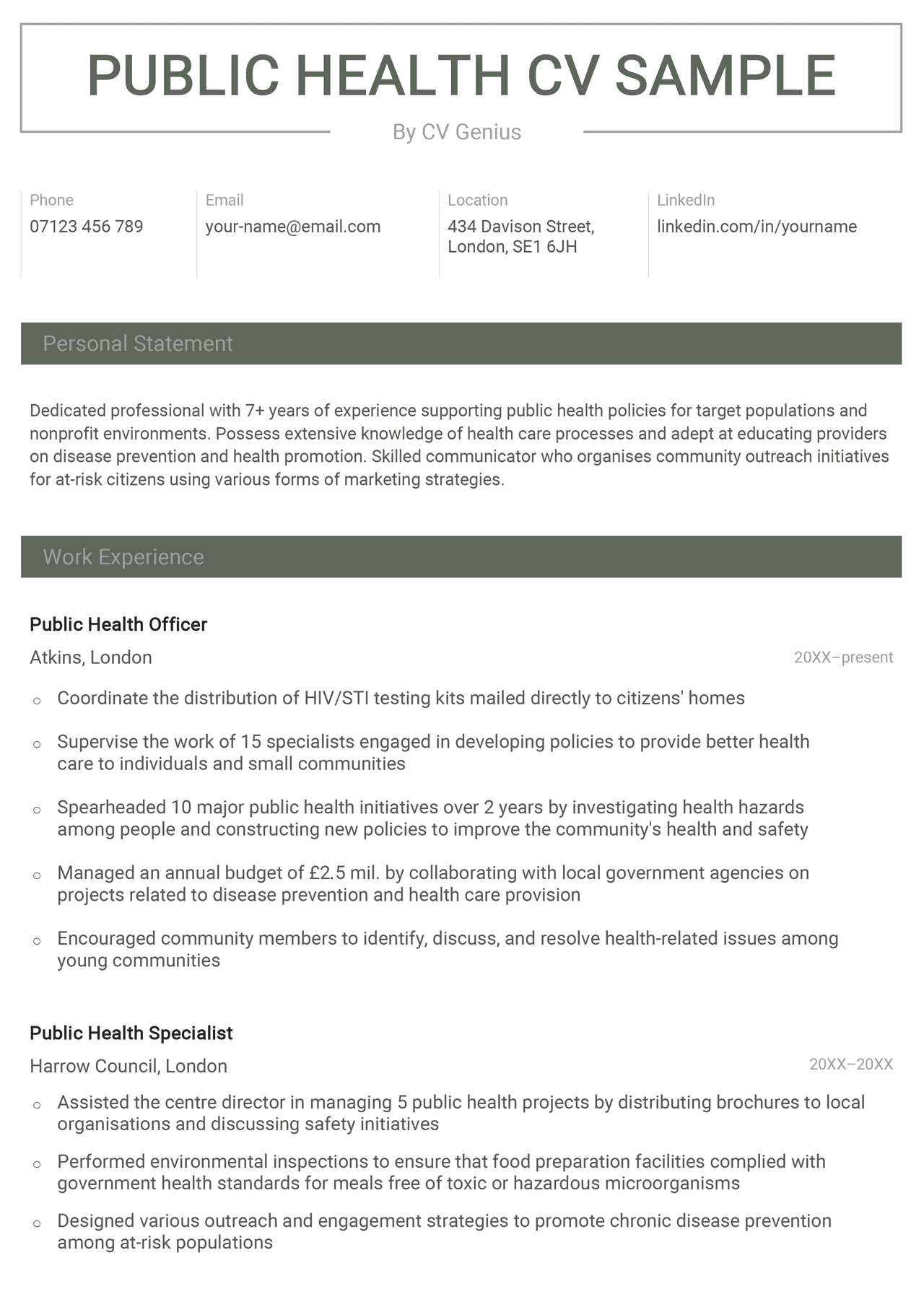 Public Health Cv Sample 