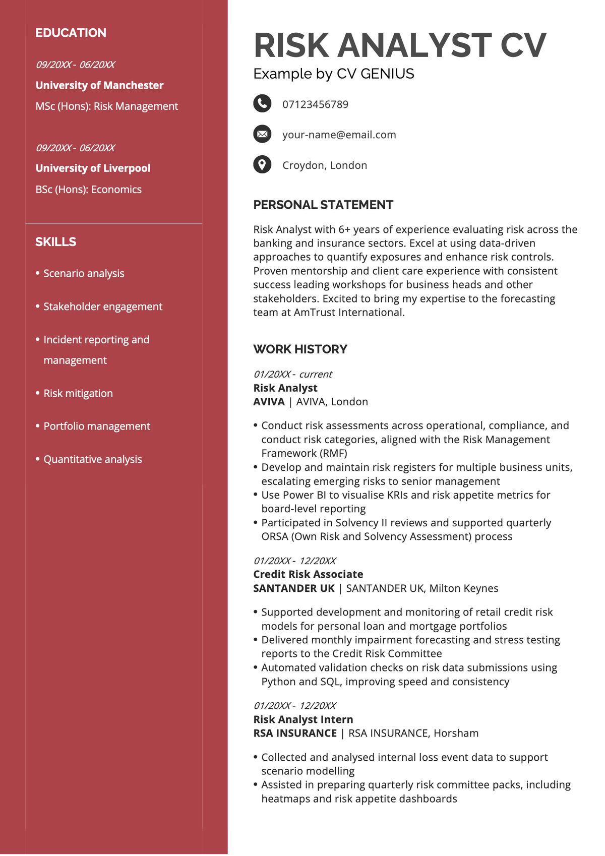 Risk analyst CV example