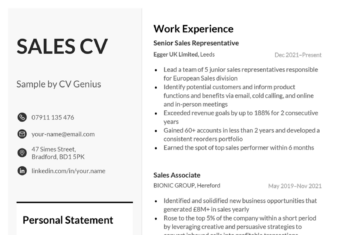 An example of a sales CV on a template with a grey background accentuating the applicant's personal statement and grey header titles for the candidate's education, work experience, and skills sections