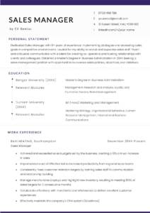 Sales Manager CV Example Skills Free Download   Sales Manager Cv Example 212x300 