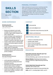 Skills Section On CV Examples How To Write