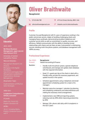 Pink version of the Snowdonia CV template