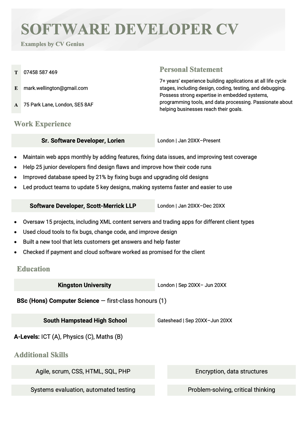 Software developer cv example template tips for 2025
