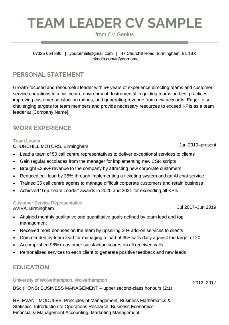 resume summary for team leader position