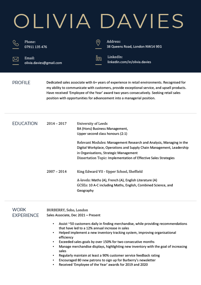 A traditional visual CV with a blue and green header