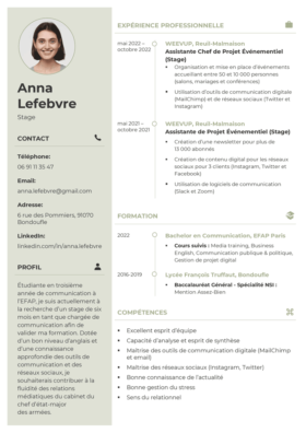 Modèle CV Vichy Vert