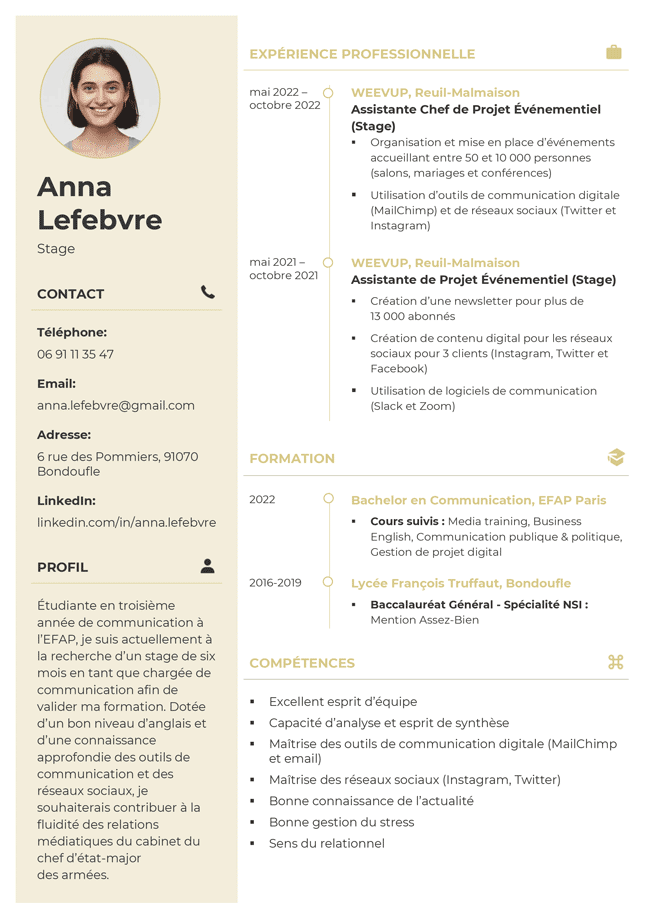 Le modèle de CV Vichy en champagne