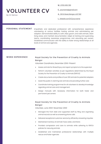 The first page of a volunteer CV example with a blue bar on the left side and sections for the applicant's name and contact information, personal statement, and work experience