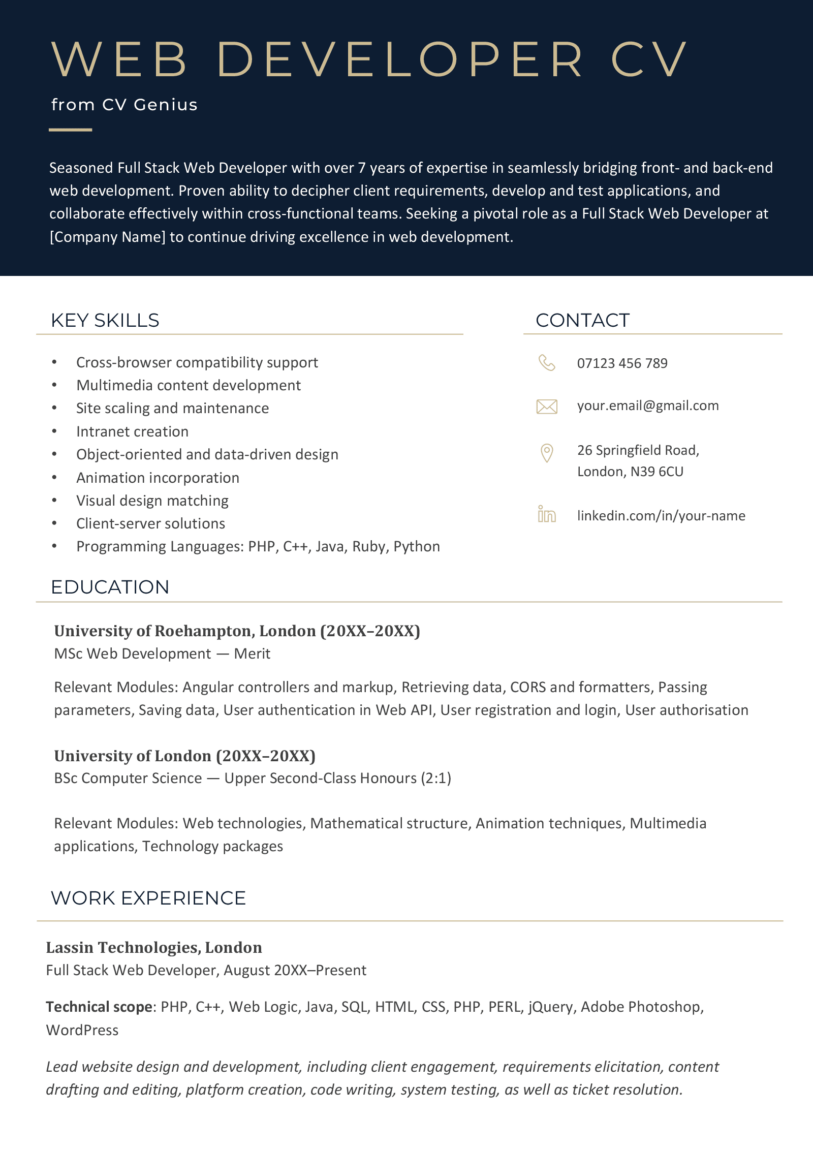 Web Developer CV - Examples & Writing Help for 2024